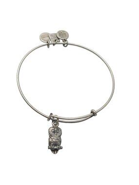 Owl Charm Adjustable Silver Bangle Bracelet By Alex & Ani Made In USA